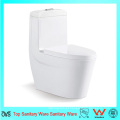 Ovs Foshan Sanitary Ware Ceramic Water Closet com auto-clean Nano Glaze